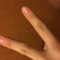 まーぼーさんの画像