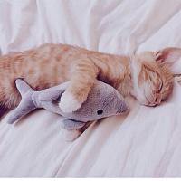 かずぼんさんの画像