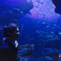 けんさんの画像