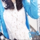 みき☆さやさんの画像